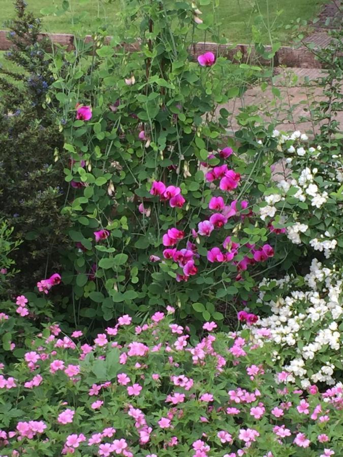 Bed and Breakfast Seymours Court Beckington Екстер'єр фото